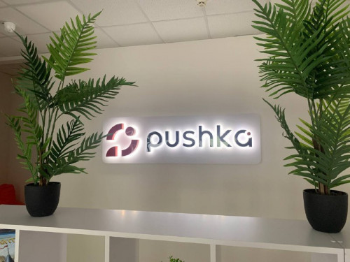 Interior logo for the IT company "Pushka"